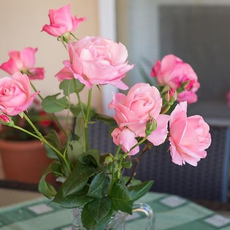 Apartment Timea Ντουμπρόβνικ Εξωτερικό φωτογραφία